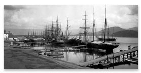Harbor of Santos